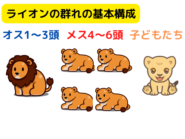 ライオンの群れの基本構成