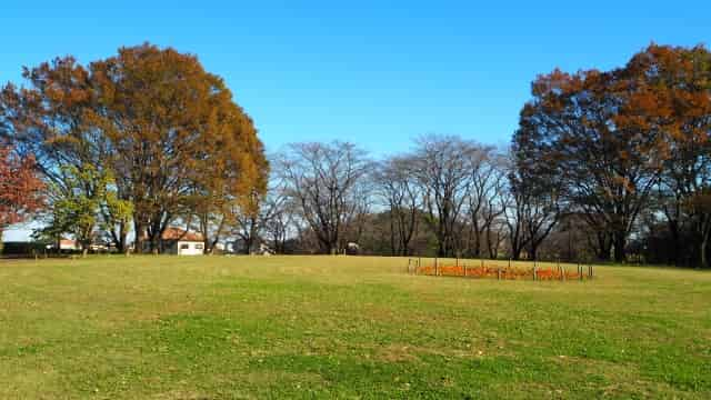 智光山公園 こども動物園