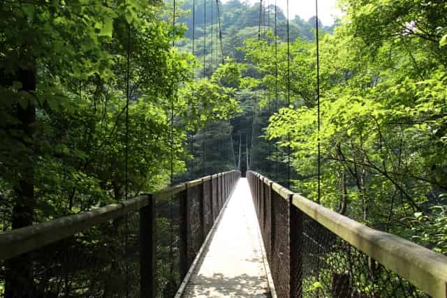 回顧の吊橋