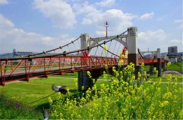 玉手橋